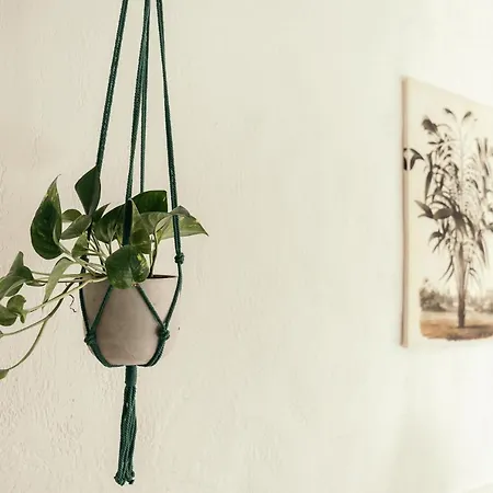 The Gaia Apartament Antibes